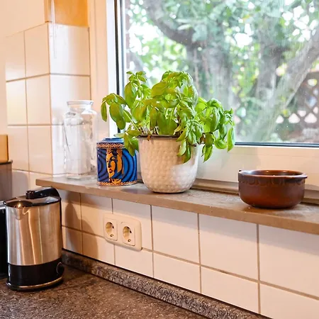 Schweinedeich 18 Appartement Büsum